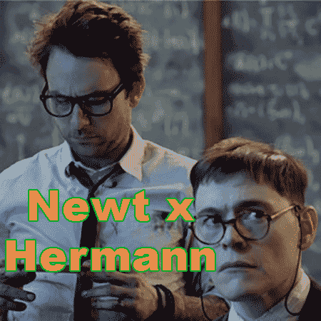 hermann/newt